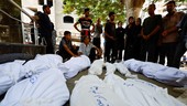 1.760 Warga Palestina Tewas Saat Mencari Bantuan Kemanusiaan di Gaza