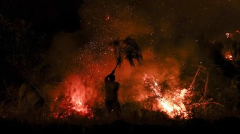 FOTO: 8.000 Hektare Lahan di Portugal Hangus Imbas Kebakaran Hutan