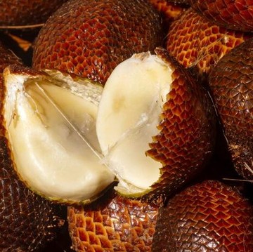 Benarkah Salak Bisa Membantu Empaskan Lemak Perut? Ini Penjelasan dan Anjuran Konsumsinya