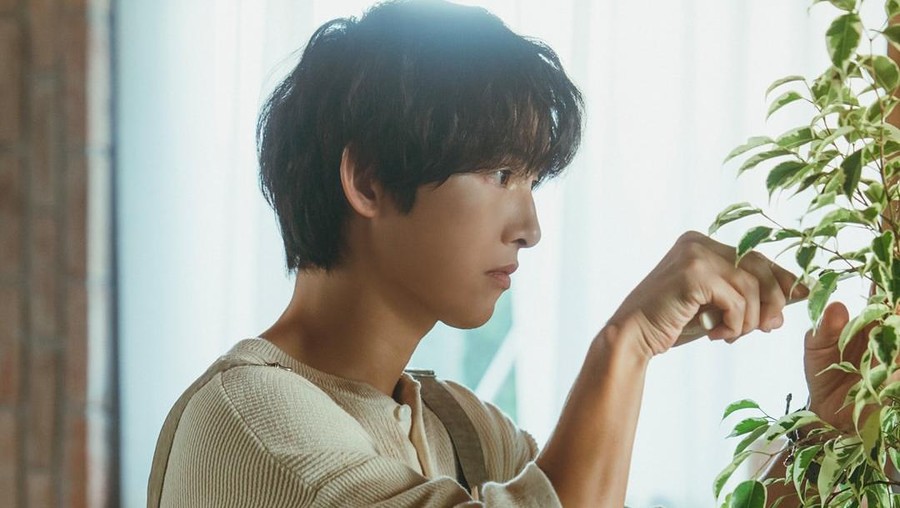 Song Joong Ki Penampilan Song Joong Ki dalam drama Korea My Youth