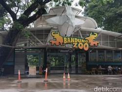 Gugatan Terdakwa Kasus Bandung Zoo ke Walkot Farhan dari Balik Tahanan