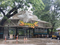 Bandung Zoo Ditutup Sampai Kasusnya Inkrah