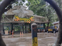 Bandung Zoo Ditutup, Begini Dampaknya ke Pariwisata Kota Kembang