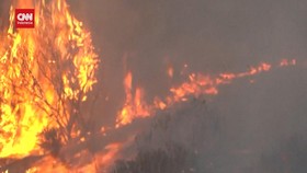 VIDEO: Kebakaran Hutan Turki, Ratusan Orang Dievakuasi 