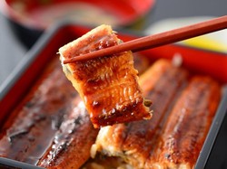 Unagi Khas Jepang Ternyata Bukan Belut, Ini Faktanya