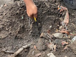 Cerita Warga Depok soal Asap dari Dalam Tanah: Bau Belerang-Suhu Tinggi