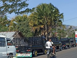 Pertalite Dijual Rp 50 Ribu per Botol Imbas BBM Langka di Flores