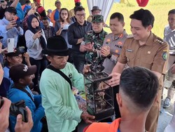 Setelah Ular, Lucky Hakim Pakai Burung Hantu untuk Basmi Hama Tikus