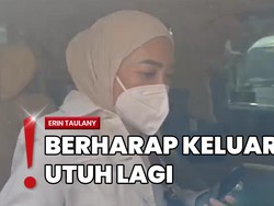 3 Kali Digugat Andre Taulany, Erin Taulany Kekeuh Masih Ingin Damai