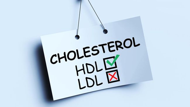 10 Penyebab Kolesterol Tinggi dan Cara Mengatasinya