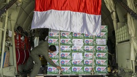 Indonesia Kirim Bantuan 800 Ton Makanan-Obat ke Gaza