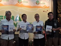 Kemenhut Ungkap Ada 800 Guide Gunung Rinjani, 200 Sudah Bersertifikat