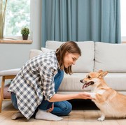 8 Manfaat Memelihara Anjing di Rumah Menurut Terapis Keluarga dan Penelitian
