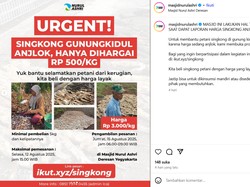 Masjid Nurul Ashri Jogja Borong 15 Ton Singkong dari Petani Saat Harga Anjlok
