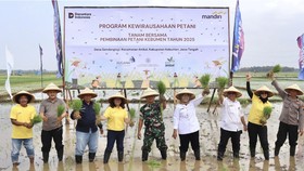Wujud Ketahanan Pangan, Bank Mandiri Berdayakan Petani Kebumen