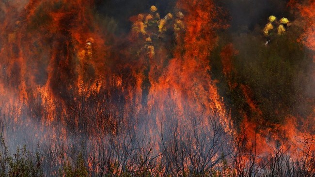 Gelombang panas ekstrem tengah melanda sejumlah negara di Eropa dan memicu kebakaran hutan besar-besaran.