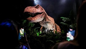 Jejak Kaki T-rex Pertama yang Ditemukan Bakal Dibawa ke Museum di AS