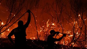 FOTO: Lima Negara Eropa Terbakar Suhu Panas Ekstrem