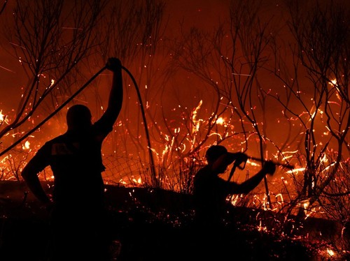 FOTO: Lima Negara Eropa Terbakar Suhu Panas Ekstrem
