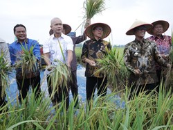 Mendes Yandri Puji Kolaborasi Kejaksaan-Petani Wujudkan Swasembada Pangan