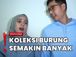 Nycta Gina Beri Syarat ke Kinos Jika Ingin Buat Aviary Seperti Irfan Hakim
