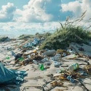 Jangan Sembarangan! Ini 5 Benda yang Tidak Bisa Dibuang Bebas