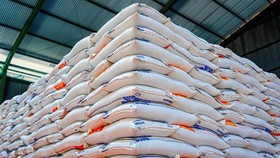 Bulog Respons soal Kondisi Harga Beras di Pasar, Optimalkan Intervensi