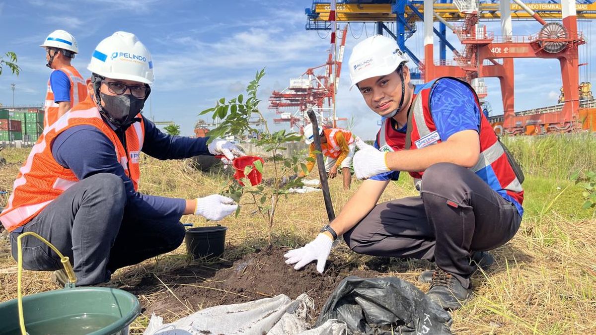 HUT RI ke-80, Pelindo Petikemas Tanam 1.500 Pohon Hijaukan Area Kerja