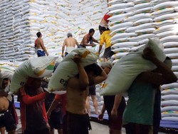 Kemarau Basah Picu Penurunan Produksi Gula PG Mojopanggung