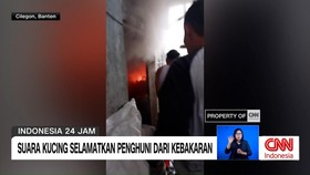 VIDEO: Suara Kucing Selamatkan Penghuni dari Kebakaran di Cilegon
