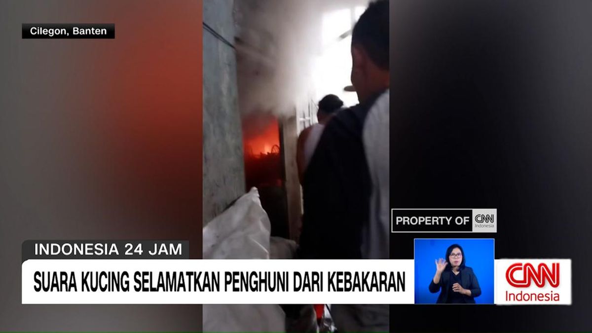VIDEO: Suara Kucing Selamatkan Penghuni dari Kebakaran di Cilegon