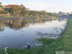 Tiap Hari Ada 2,5 Ton Sampah Diangkut dari Sungai di Denpasar