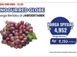 Beli Anggur Red Globe di Transmart Full Day Sale Lagi Murah-Murahnya
