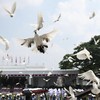 FOTO: Khidmat Upacara Detik-detik Proklamasi di Istana Merdeka