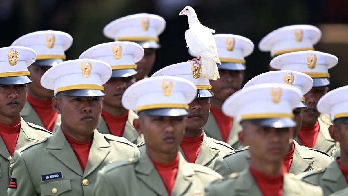 Momen Merpati Hinggap di Topi Prajurit Saat Upacara di Istana Negara