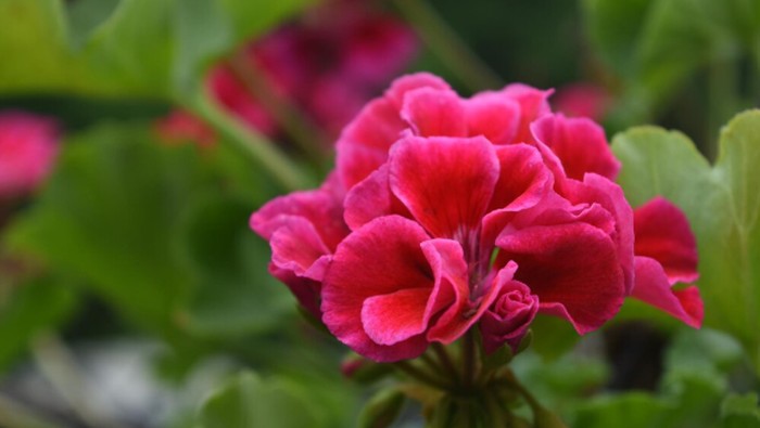 Ilustrasi/Foto: freepik.com/DejaVU Designs