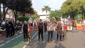 Pasukan Berkuda Turangga Polri Curi Perhatian Publik di HUT ke-80 RI