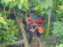 Diduga Mabuk, Buruh Proyek Terperosok ke Jurang di Ubud