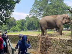TM Ragunan Jadi Tempat Wisata Murah Isi Liburan HUT Ke-80 RI