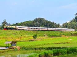KA Pandanwangi Tambah 6 Pemberhentian, Glenmore Jadi Akses Wisata Baru