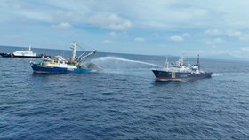 KKP Tangkap Kapal Asing Jumbo Pencuri Ikan di Lautan Papua
