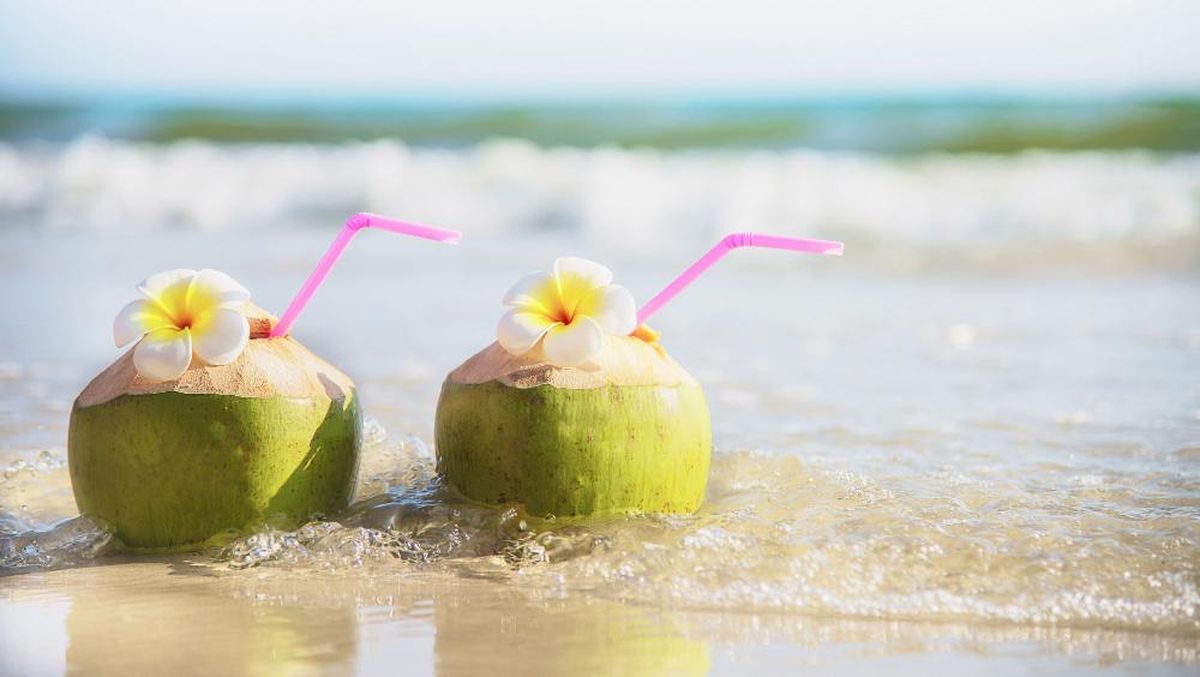 Minum Air Kelapa Setiap Hari, Aman atau Berbahaya? Ini Penjelasannya