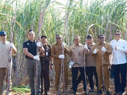 AHY dan Iftitah Tinjau Kawasan Transmigrasi-Pabrik Gula di Sumba Timur
