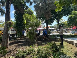 Kerugian Akibat Kerusakan Taman Apsari Usai Pesta Rakyat Rp 150 Juta