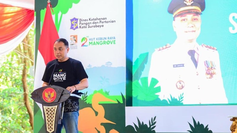 Pemkot Surabaya menggandeng BRIN untuk menyiapkan Kebun Raya Mangrove (KRM) Surabaya sebagai pusat pengetahuan global atau perpustakaan bakau dunia.