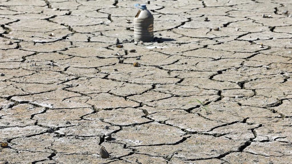 Waspada Kekeringan, BRIN Prediksi Godzilla El Nino Datang April 2026