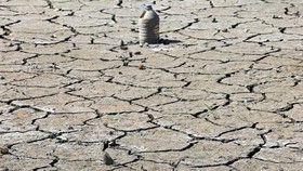 Waspada Kekeringan, BRIN Prediksi Godzilla El Nino Datang April 2026