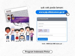 Cek Data Penerima PIP 2025 di pip.kemendikdasmen.go.id, Ada Namamu?