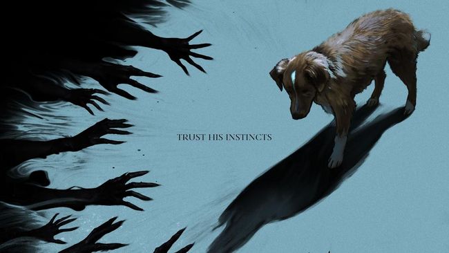 Sinopsis ‘Good Boy’, Film Horor dengan Perspektif Anjing Peliharaan