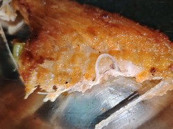 Ngeri! Beli Ikan Salmon di Supermarket Ada Cacing Parasit 6,5 Cm